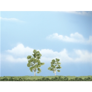 "2¼""-3"" Premium Sycamore (2/Pk)"